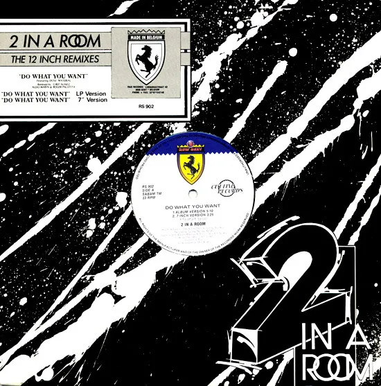 2 In A Room — Do What You Want (The 12 Inch Remixes), cover art
