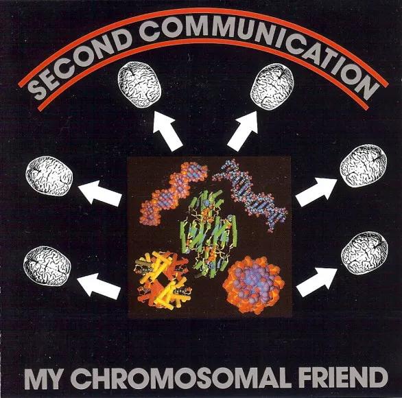 2nd Communication — My Chromosomal Friend, cover art