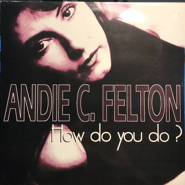 Andie C. Felton — How Do You Do?, cover art