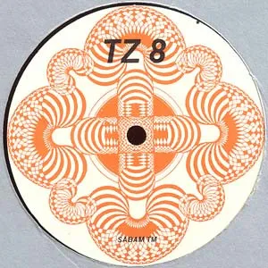 Brainstorm — TZ 8, cover art