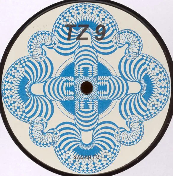 Brainstorm — TZ 9, cover art