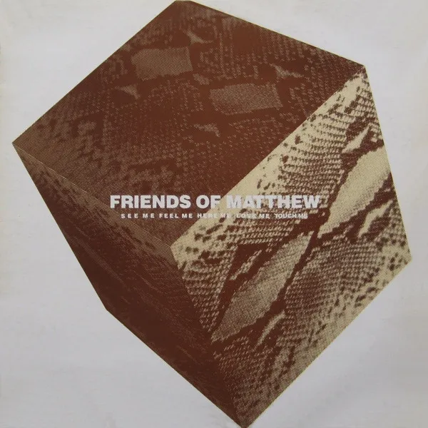 Friends Of Matthew — Out There, cover art