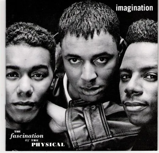 Imagination — The Fascination Of The Physical, cover art