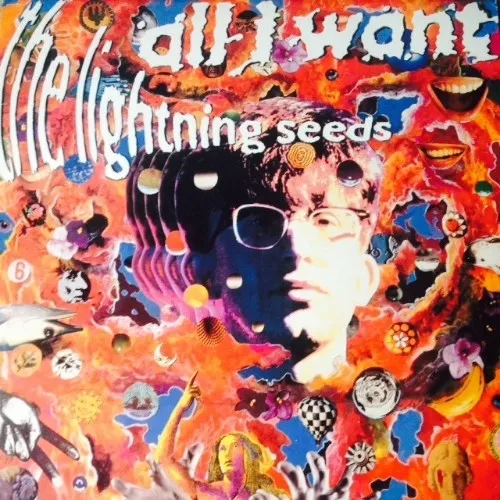 Lightning Seeds — All I Want, cover art