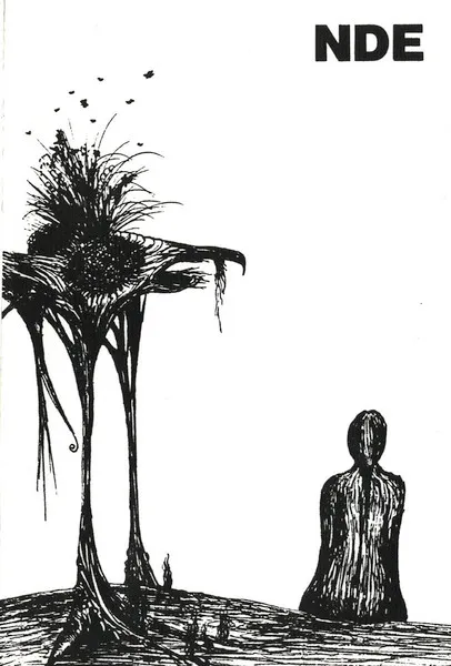 NDE (6) — Bugaboo, cover art