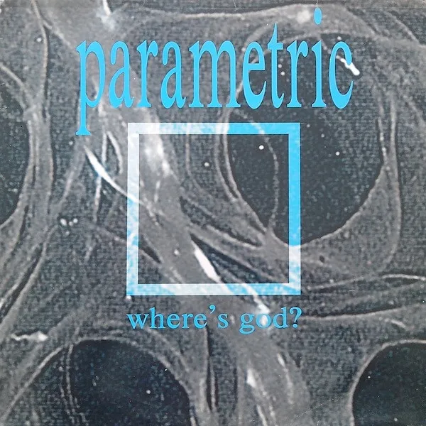 Parametric — Where's God?, cover art