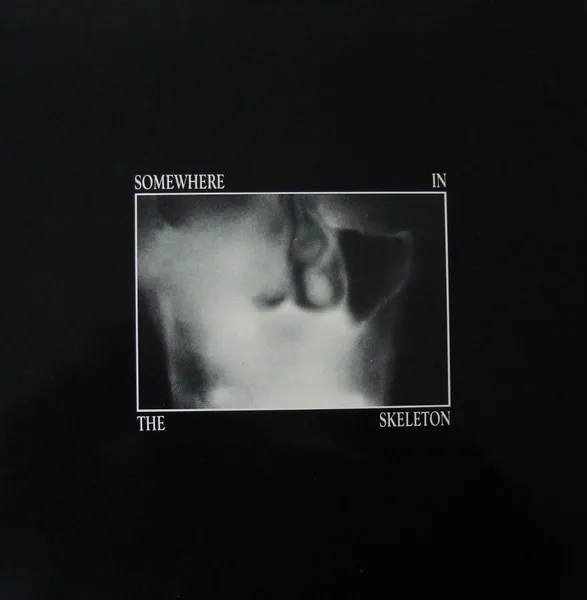 Various — Somewhere In The Skeleton, cover art
