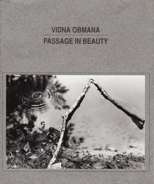 Vidna Obmana — Passage In Beauty, cover art